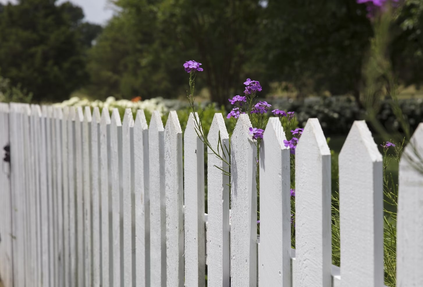 Maintaining Your Fence: How Regular Staining/painting Protects Against Rot and Decay in New Zealand